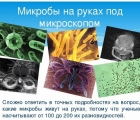 Набор микропрепаратов на русском языке 35 шт. биология, анатомия и ботаника для микроскопа. Стекло.